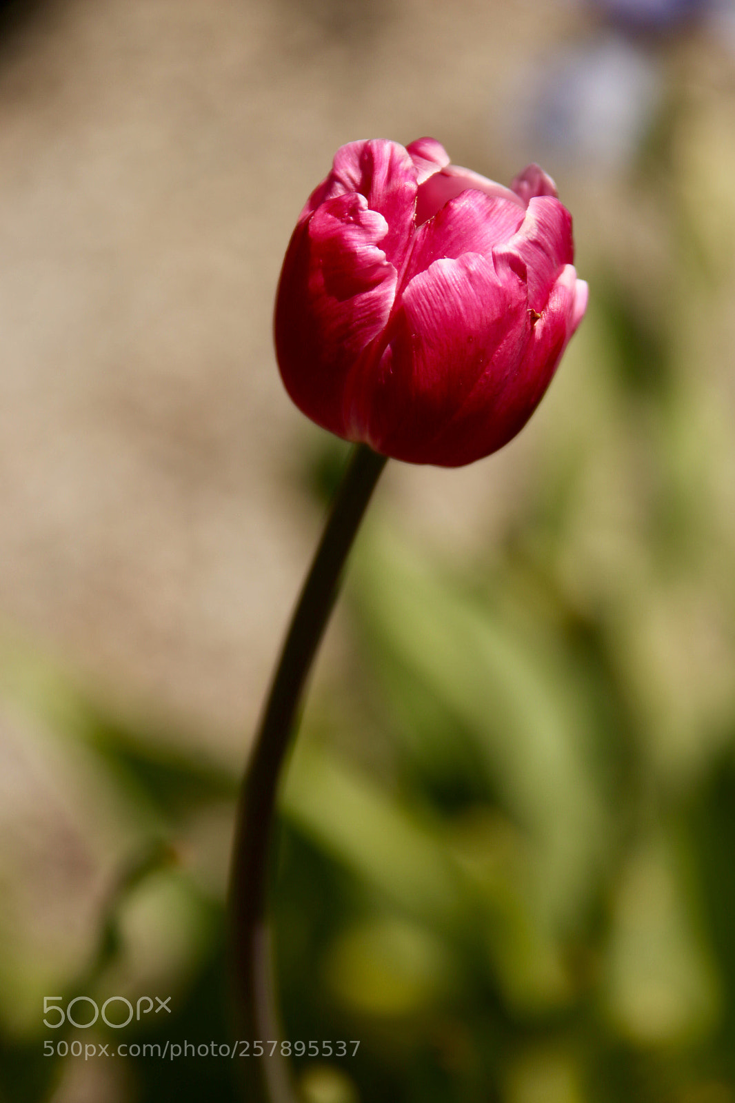 Canon EOS 6D sample photo. Untitled photography