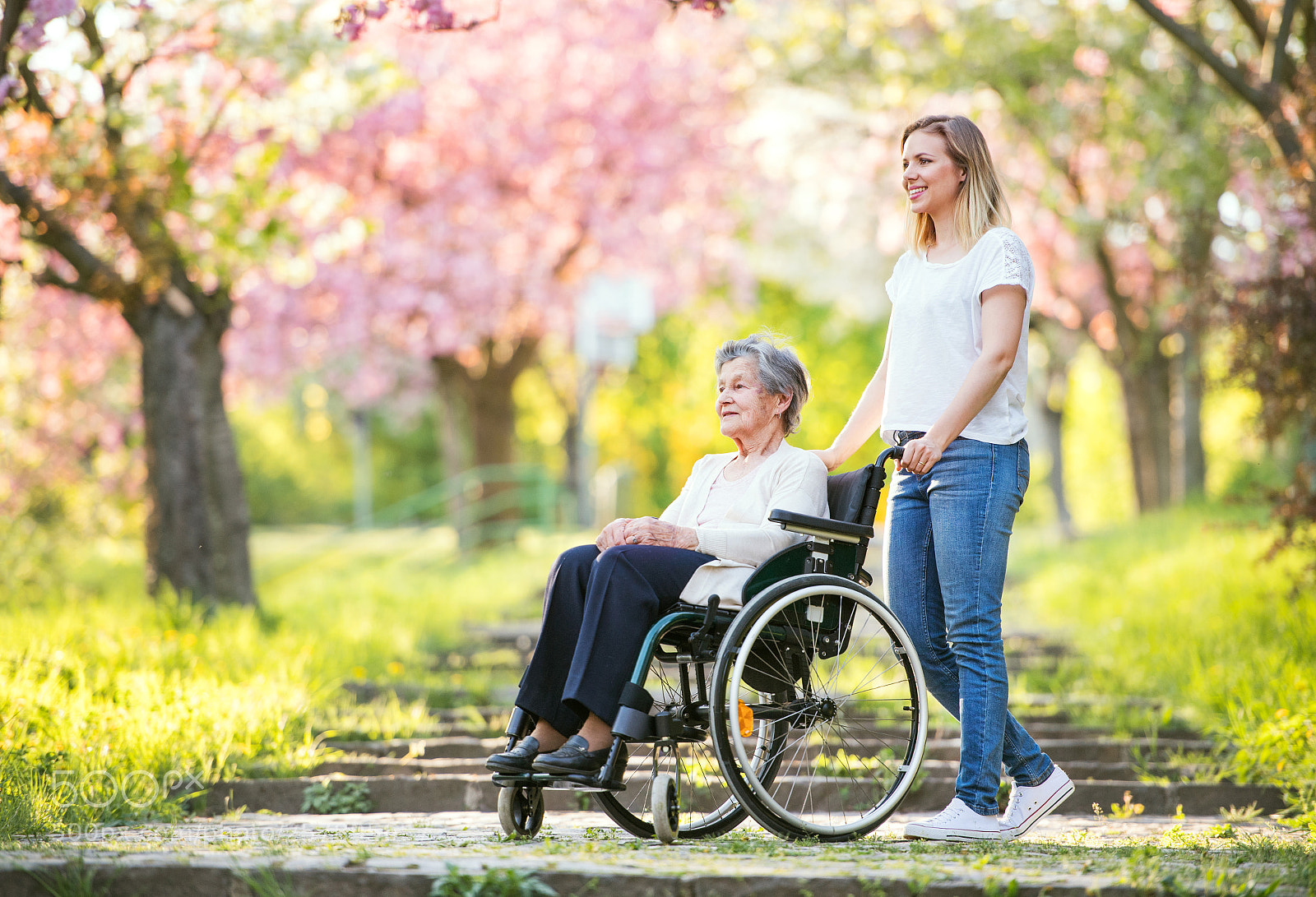 Nikon D5 sample photo. Elderly grandmother in wheelchair photography