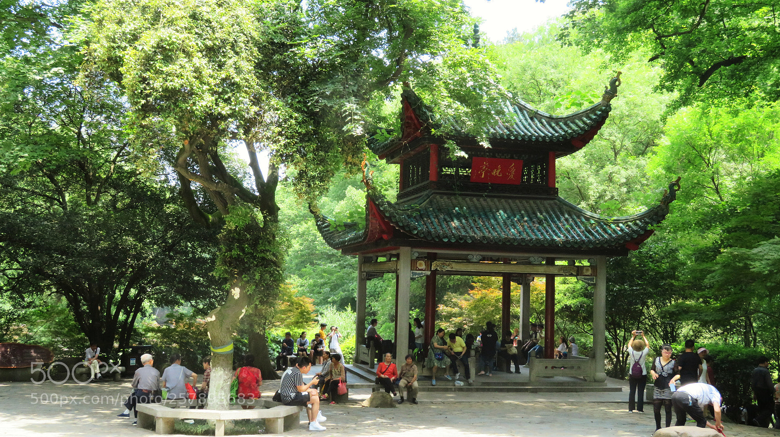 Canon PowerShot SX720 HS sample photo. Untitled photography