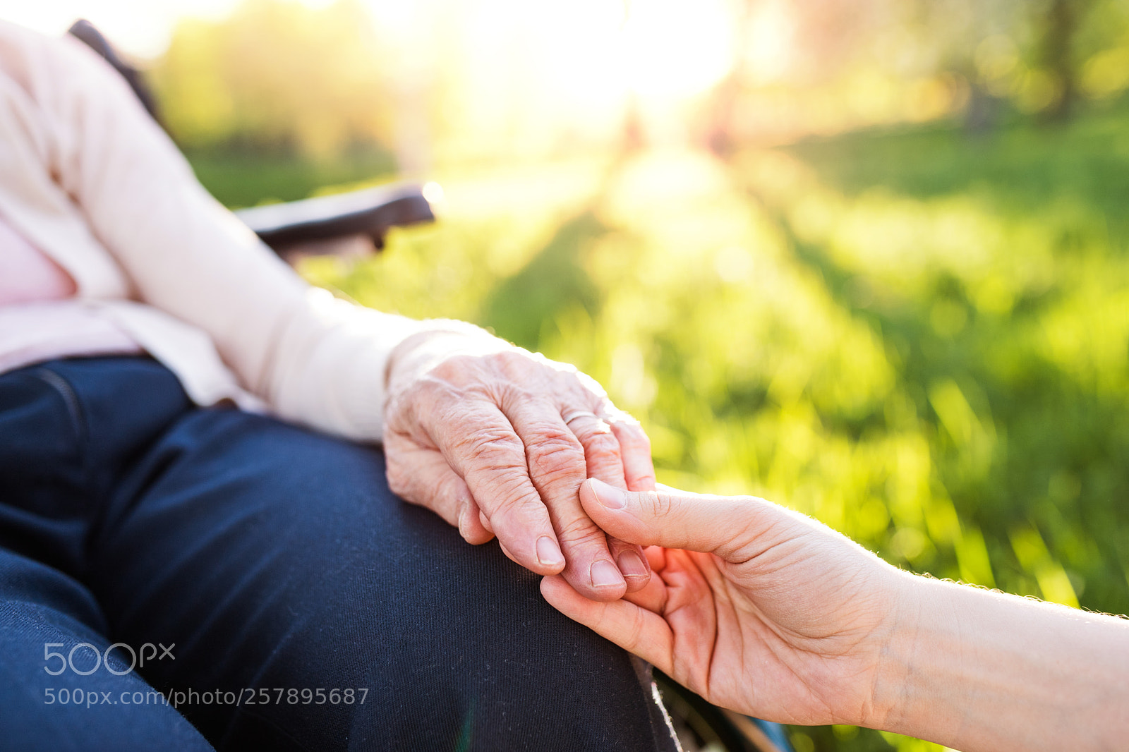 Nikon D5 sample photo. Granddaughter holding hand of photography