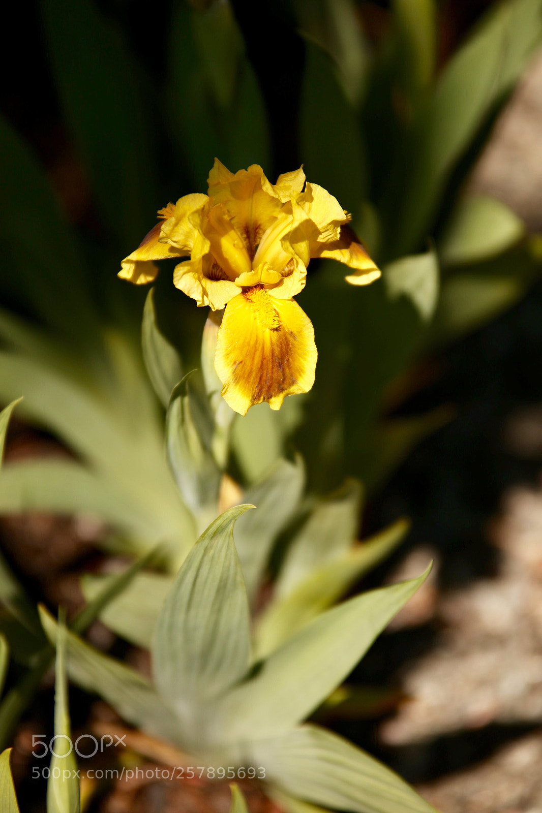 Canon EOS 6D sample photo. Untitled photography