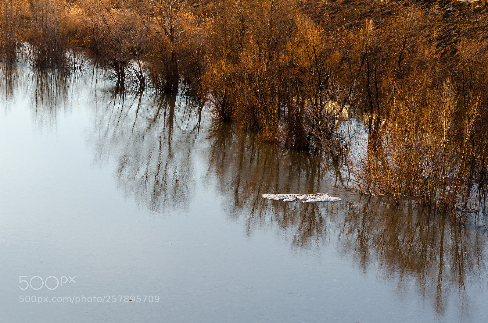 Nikon D7000 sample photo. Lonely ice floe photography