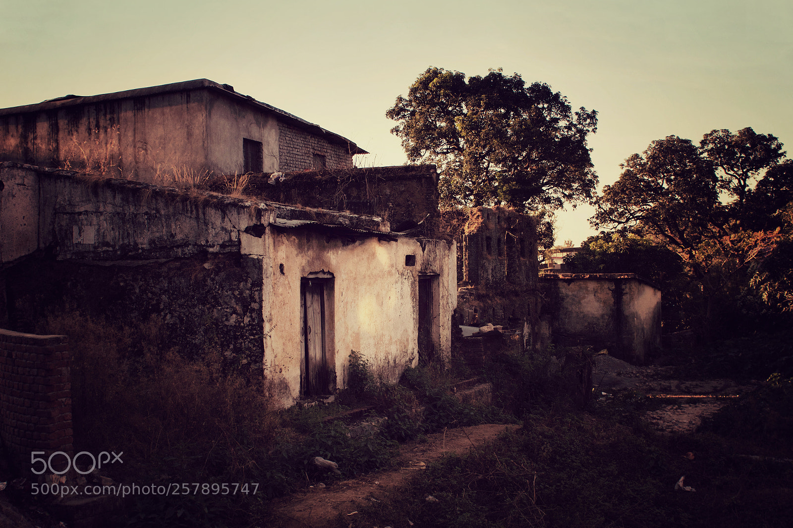 Canon EOS 550D (EOS Rebel T2i / EOS Kiss X4) sample photo. Evening light on ruins photography