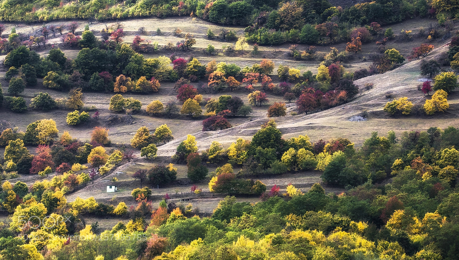 Nikon D610 sample photo. Color terrace photography