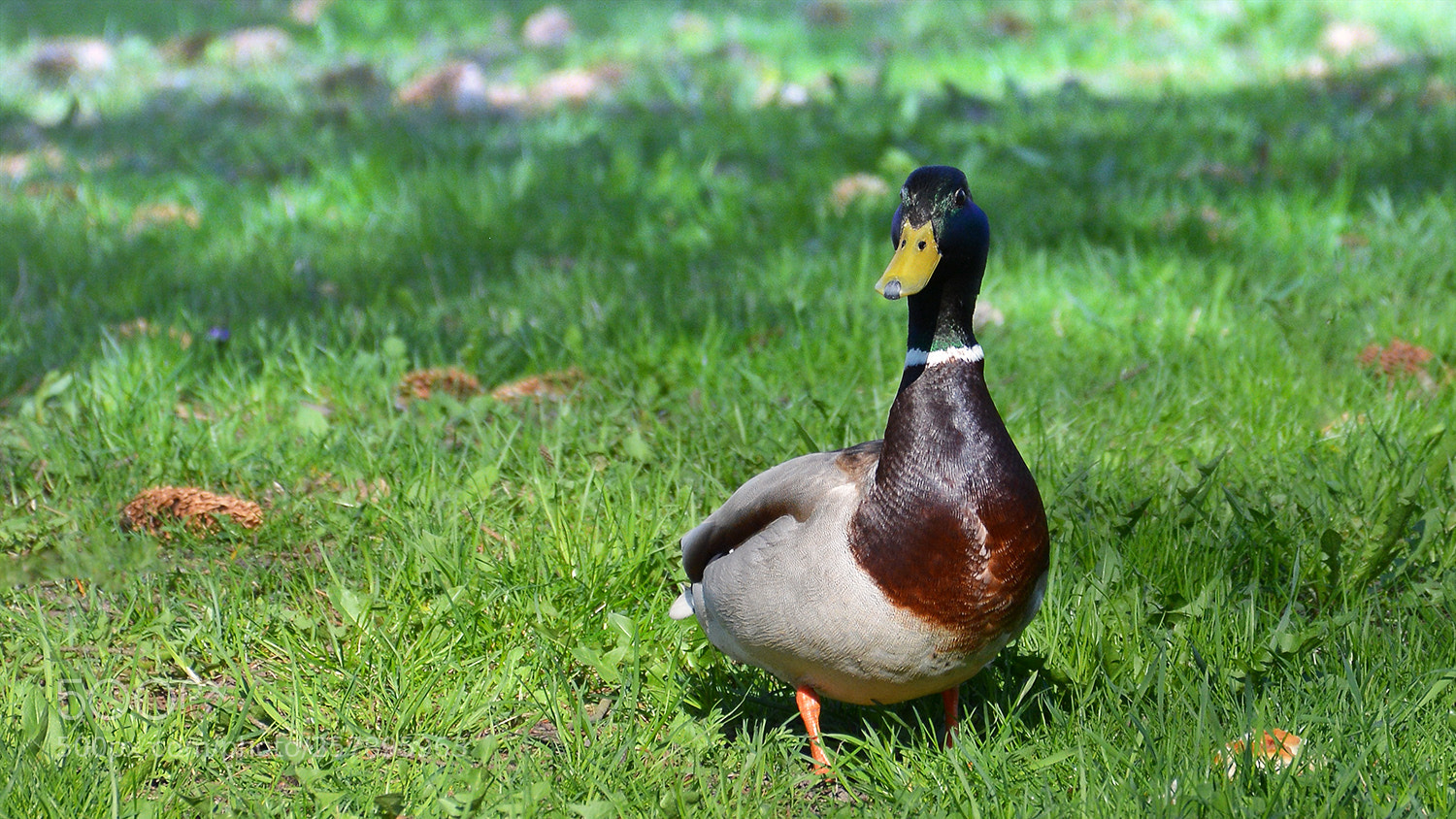 Nikon D5200 sample photo. Launchpad mcquack photography