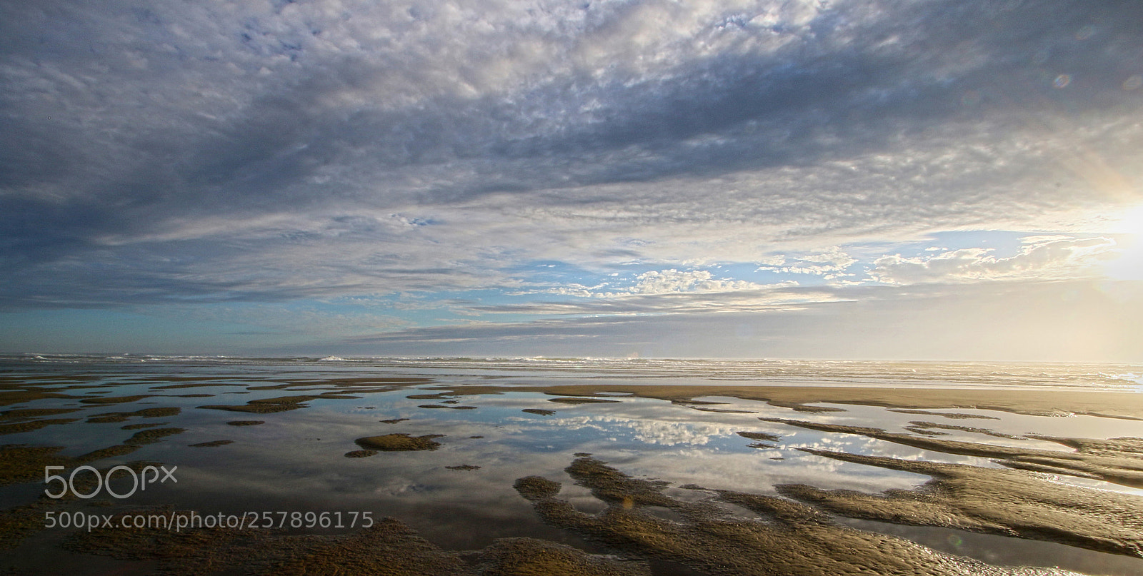 Canon EOS 7D Mark II sample photo. Sandy reflections photography