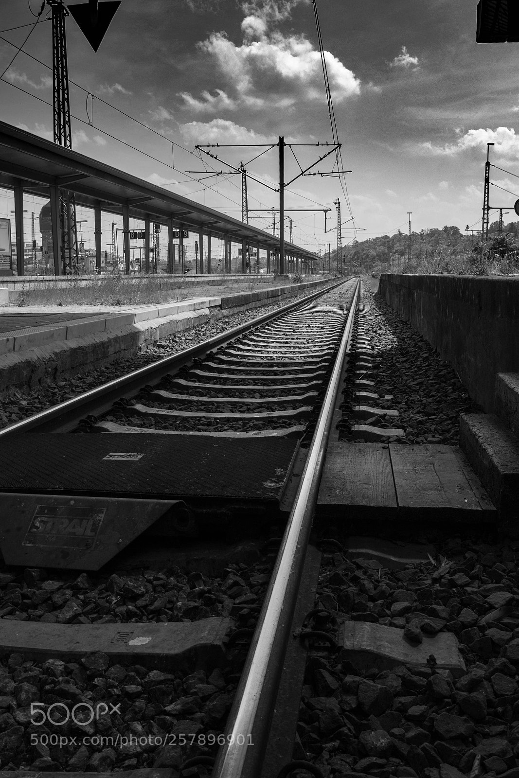 Canon EOS 600D (Rebel EOS T3i / EOS Kiss X5) sample photo. Road to freedom photography