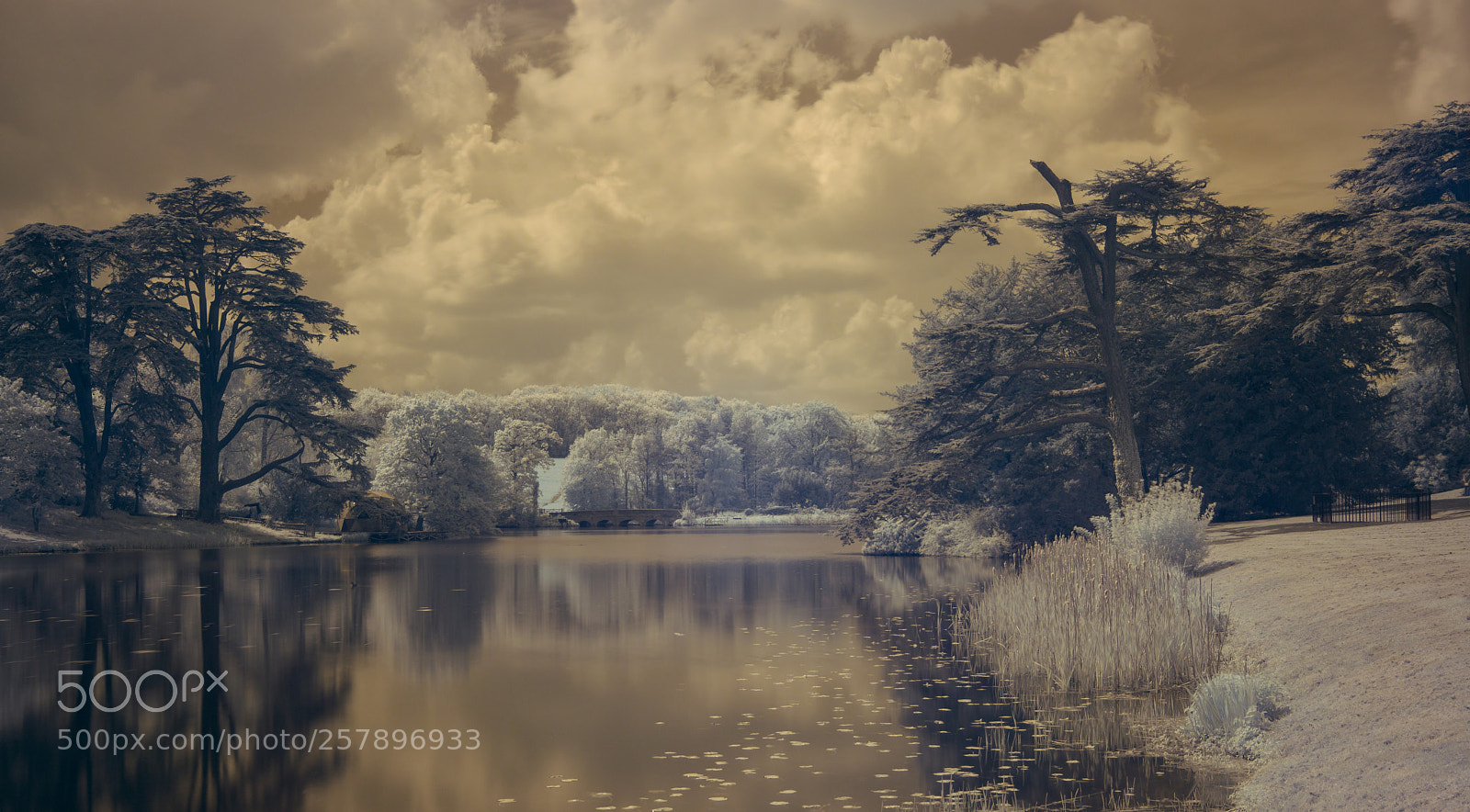 Nikon D850 sample photo. Compton verney lake photography