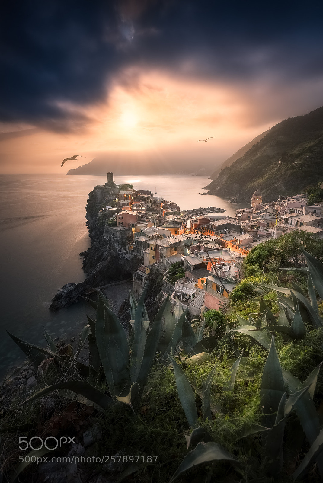 Nikon D750 sample photo. Sunset- vernazza (italy) photography