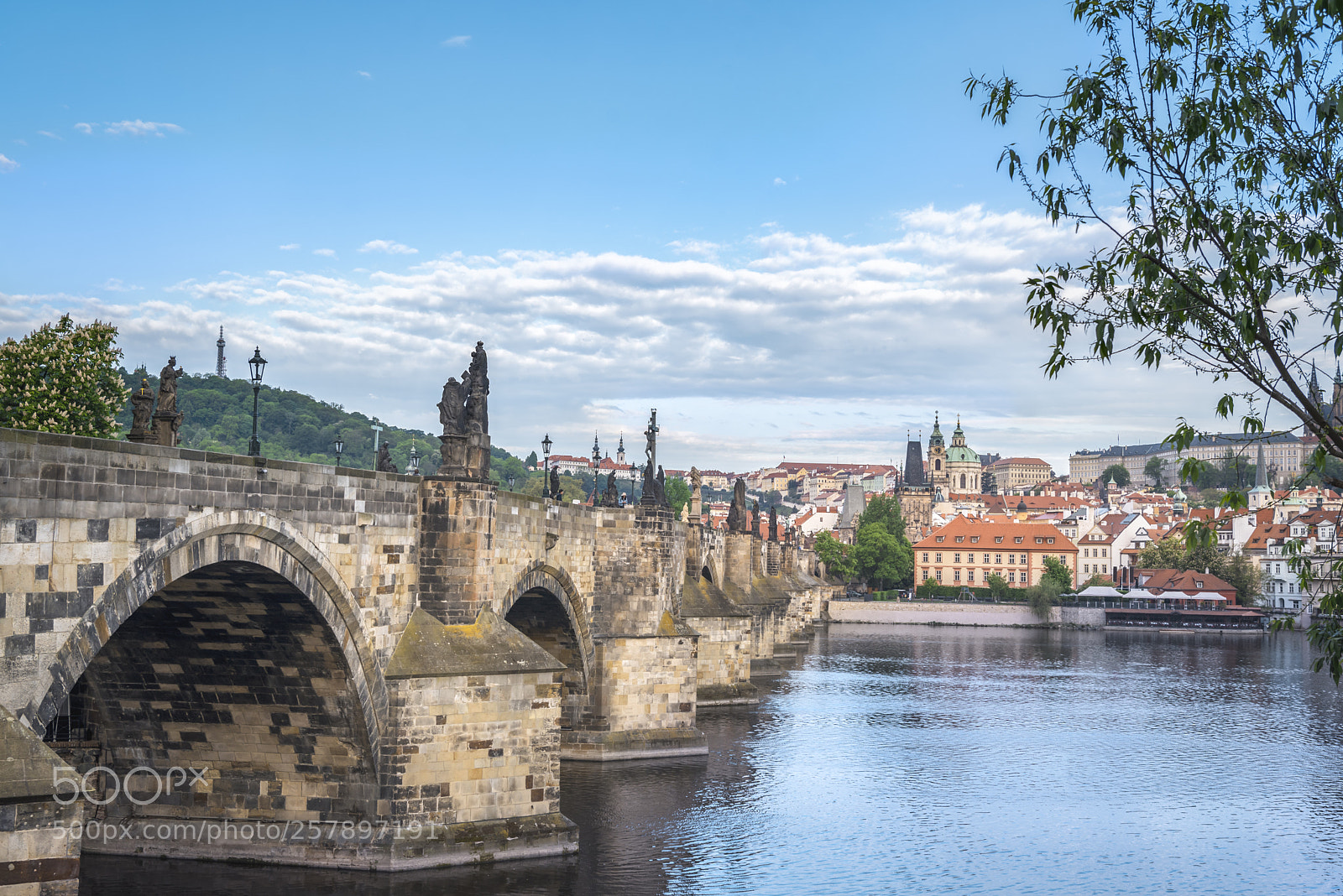 Nikon D750 sample photo. Charles bridge on the photography
