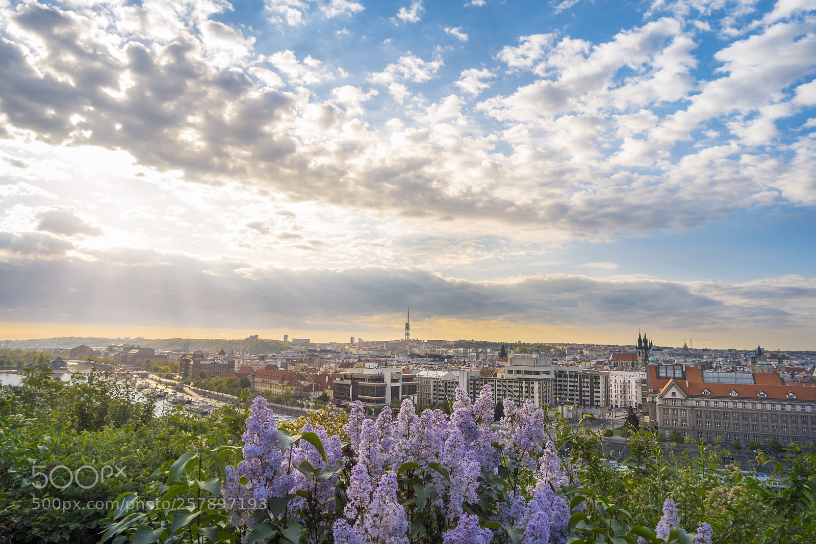 Nikon D750 sample photo. Sunrise over prague city photography