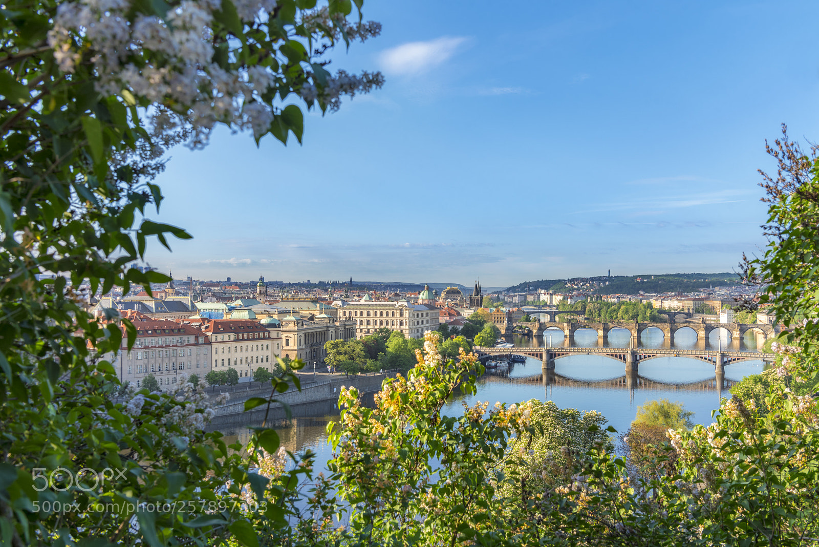 Nikon D750 sample photo. Vltava river with its photography