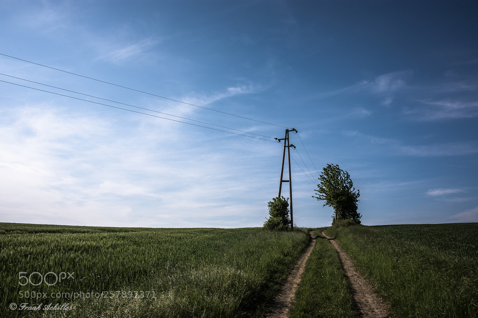 Nikon D7200 sample photo. Field path photography