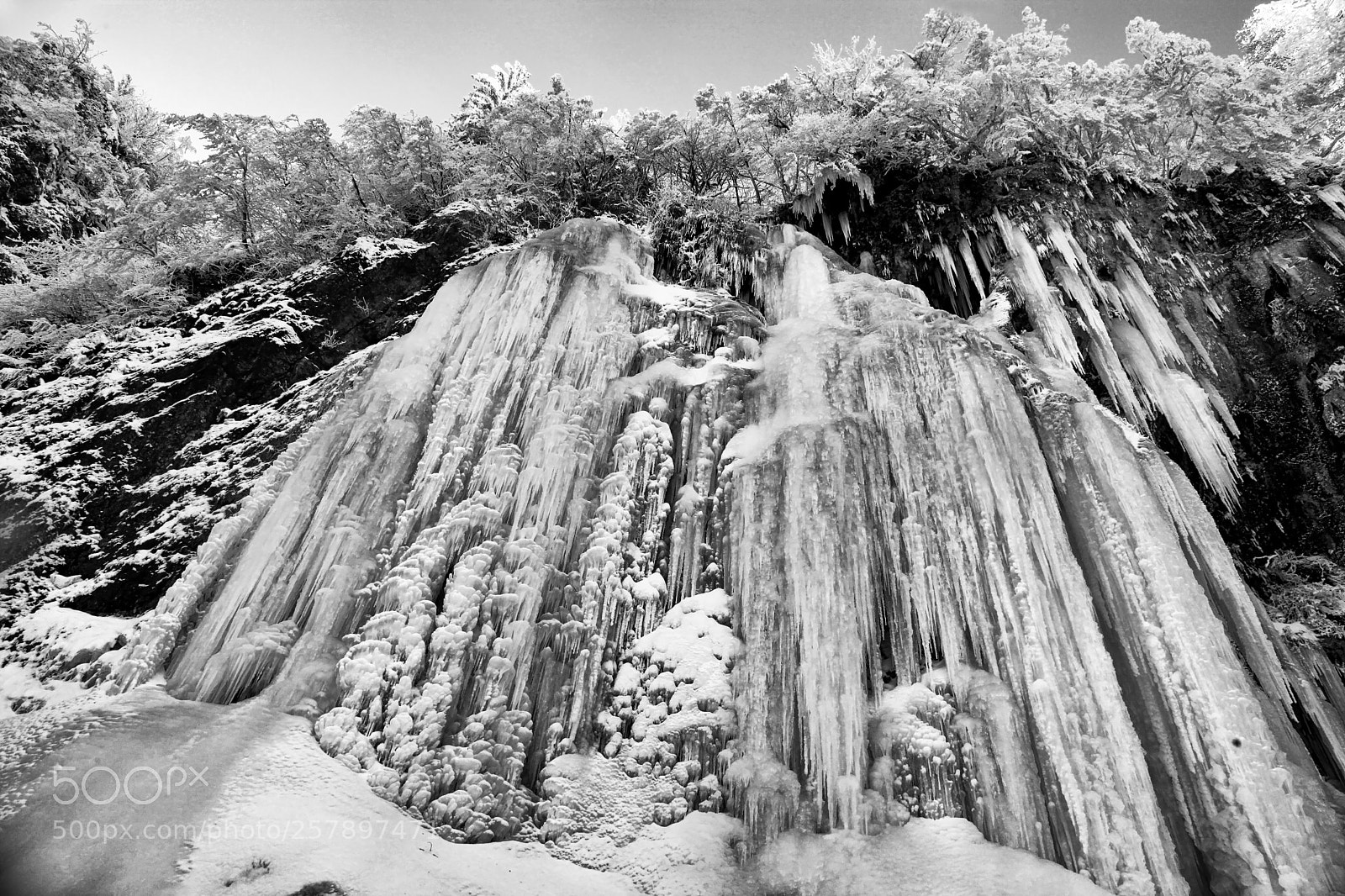 Canon EOS 5D Mark II sample photo. Frozen photography