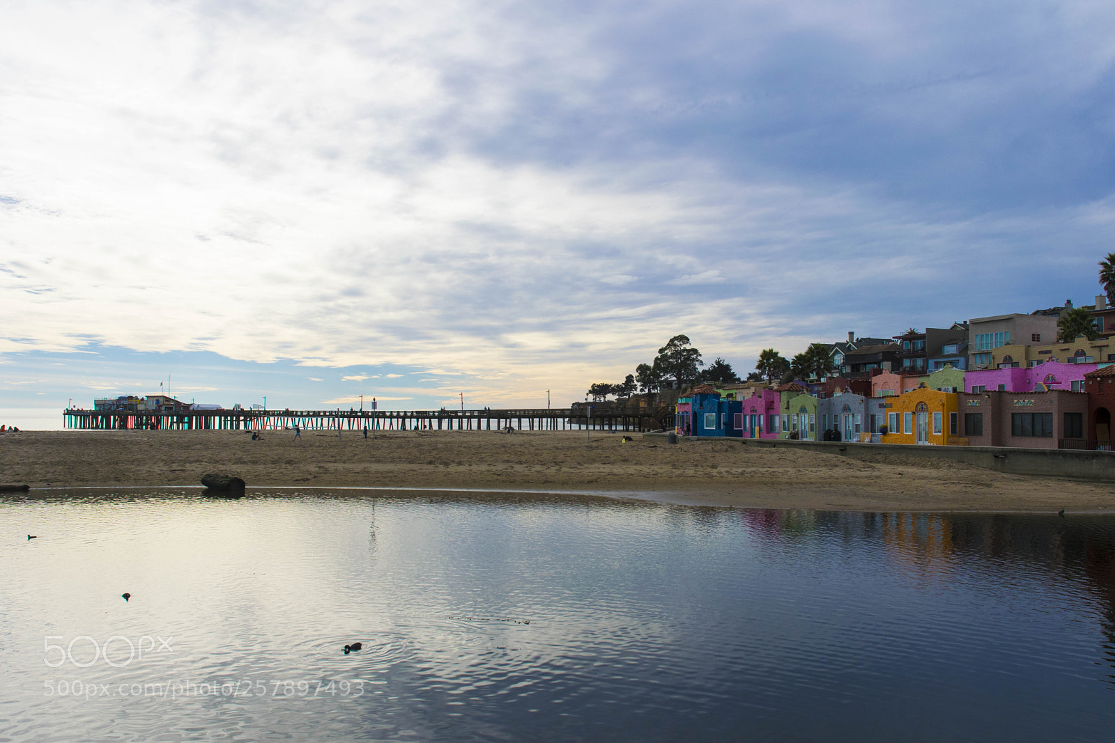Nikon D5300 sample photo. Dsc photography