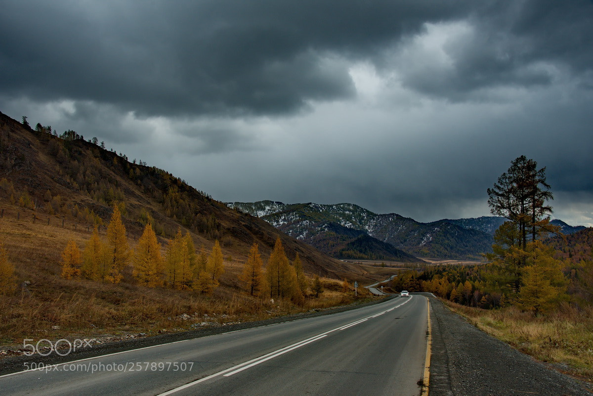 Nikon D750 sample photo. Russia. the south of photography