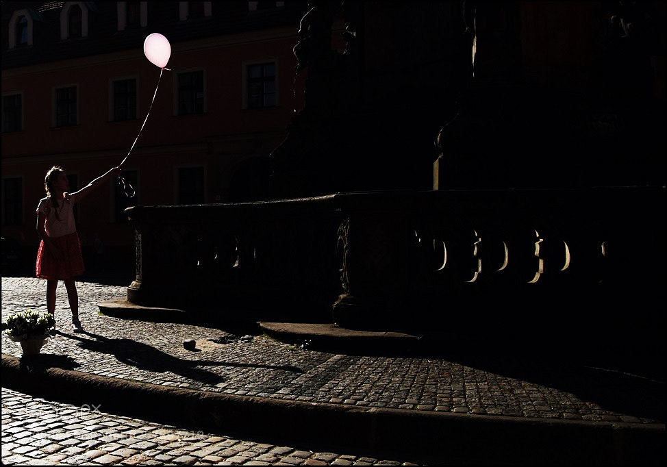 Canon EOS 7D Mark II sample photo. Untitled photography