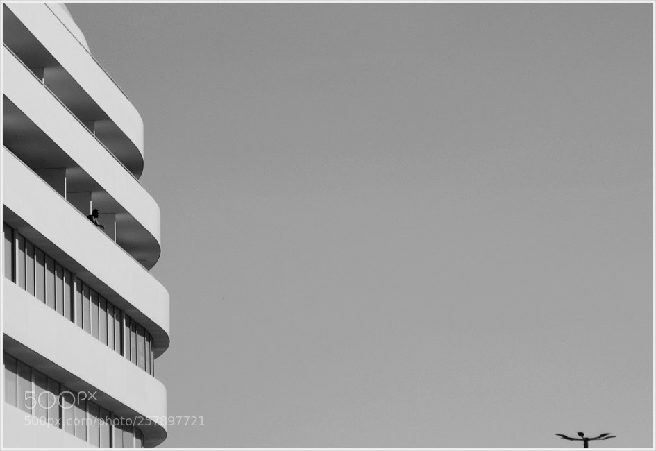 Canon EOS 7D Mark II sample photo. Untitled photography