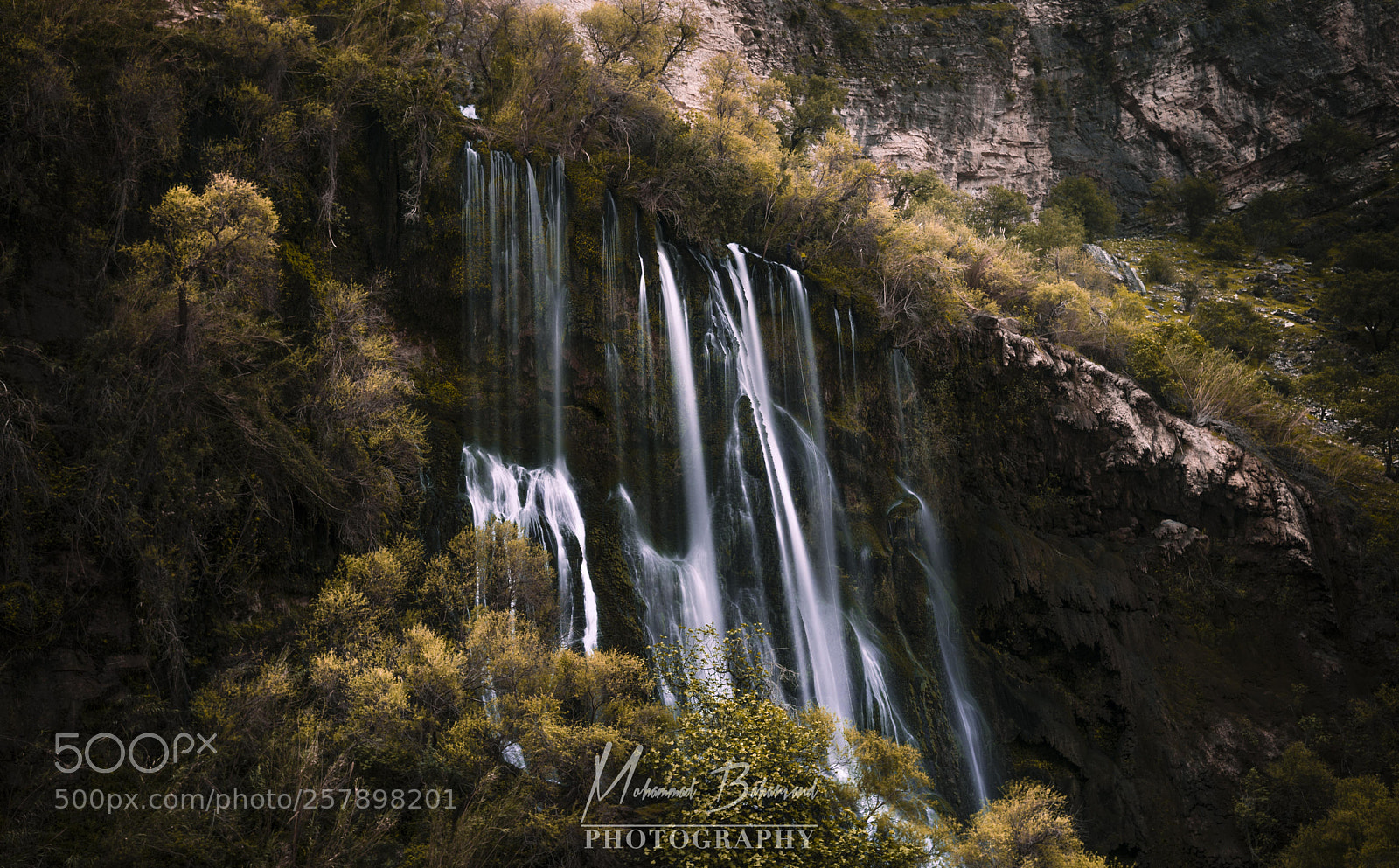 Nikon D610 sample photo. + photography