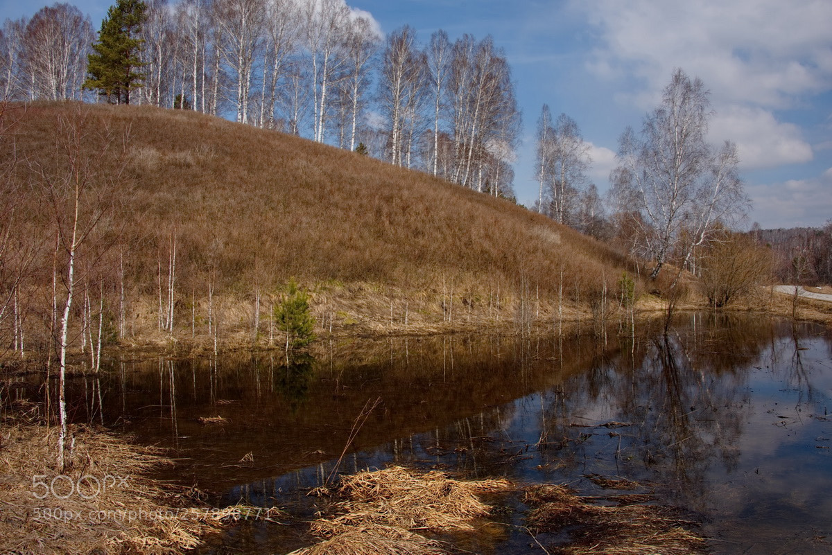 Nikon D750 sample photo. Russia. the south of photography