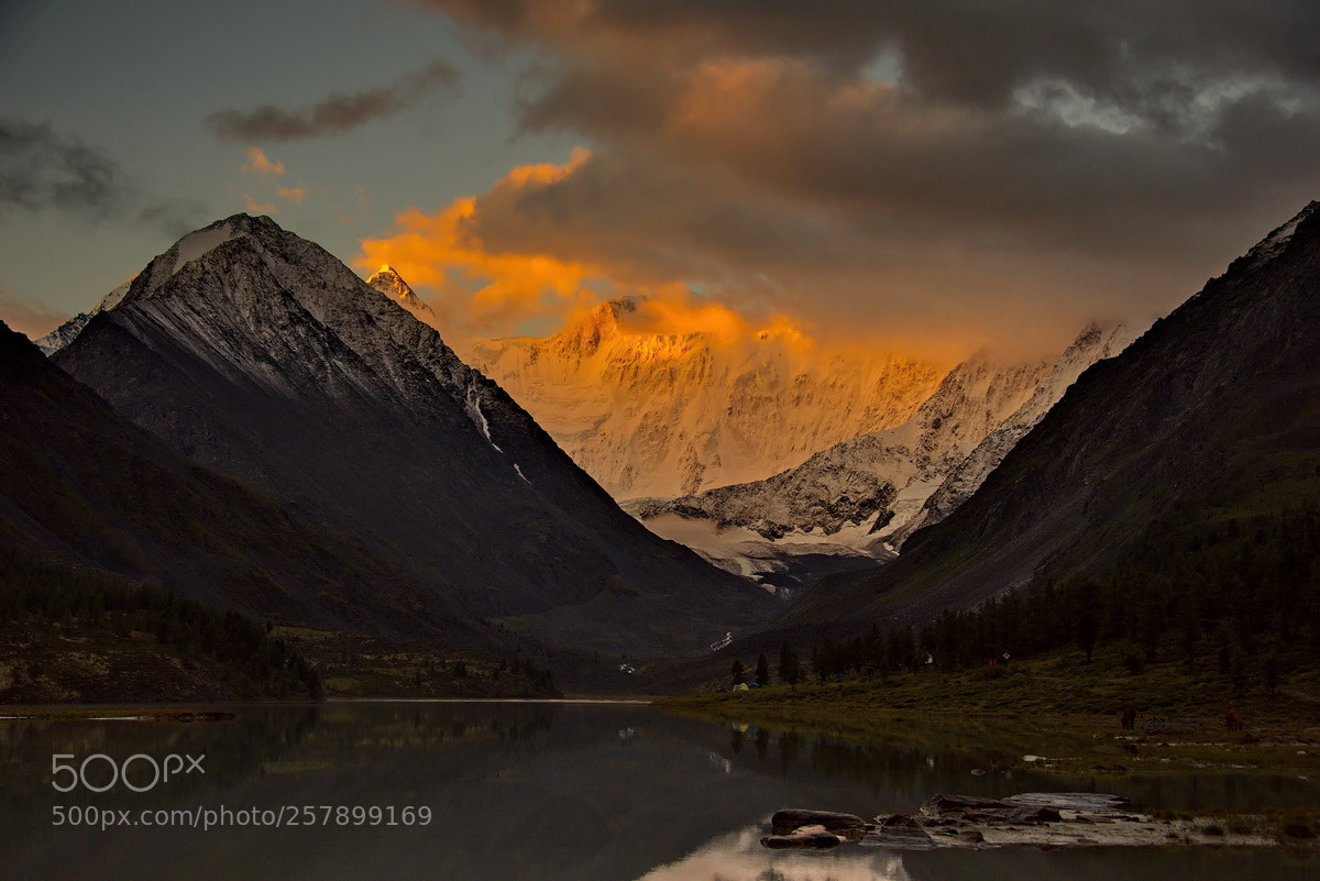 Nikon D750 sample photo. Russia. the altai mountains photography