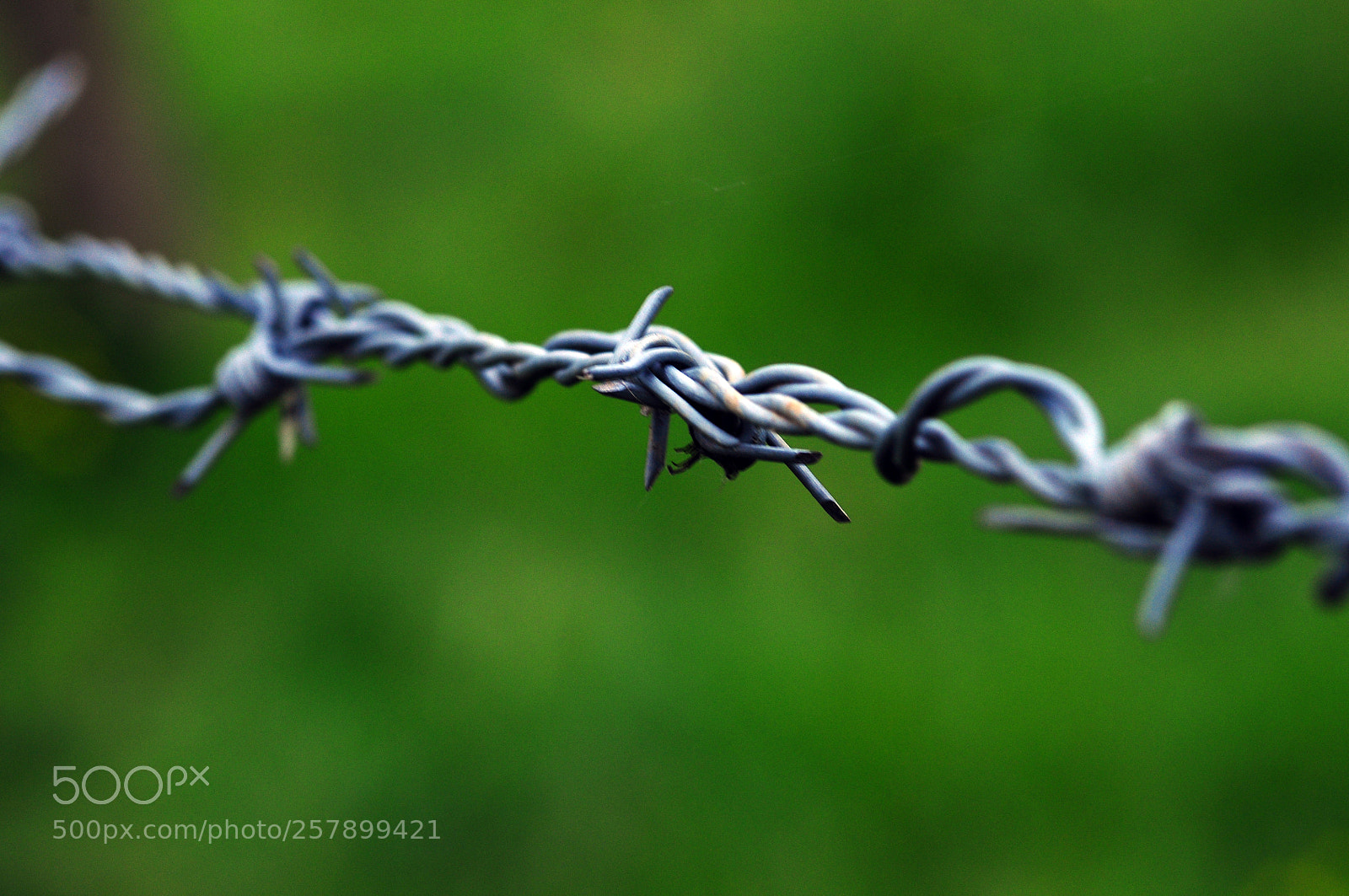 Nikon D90 sample photo. Freedom photography