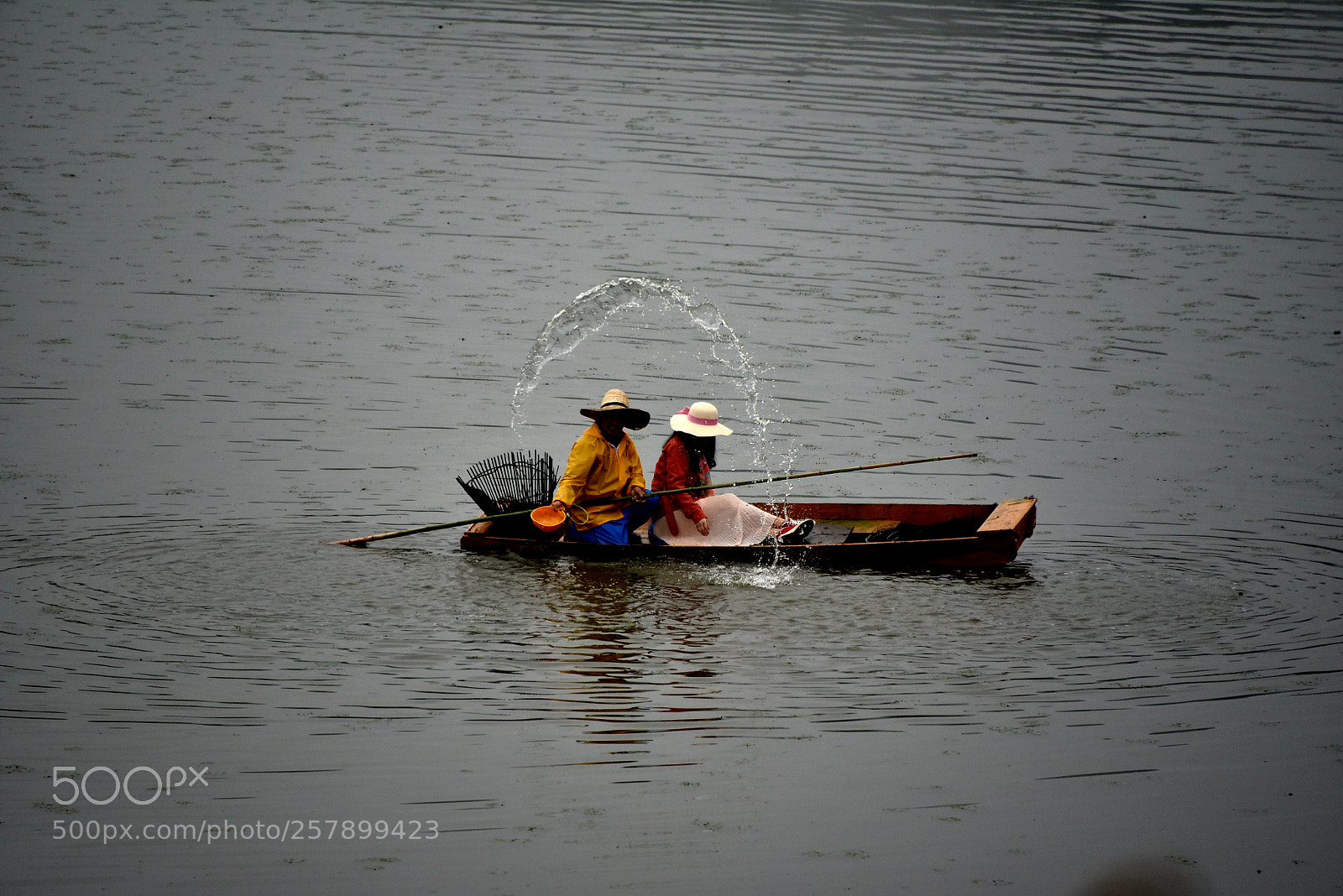 Nikon D750 sample photo. * flow ( ii ) photography