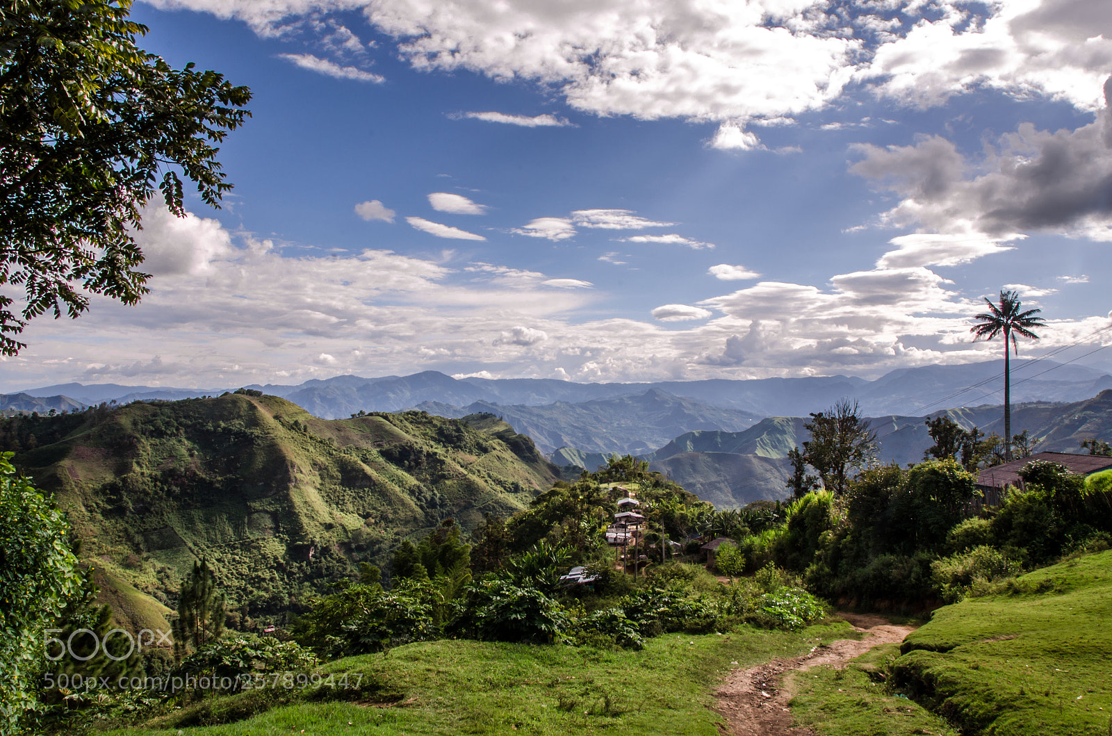 Nikon D7000 sample photo. La palma - tierradentro photography