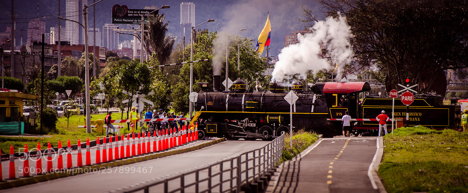 Nikon D7000 sample photo. Tren de la sabana photography