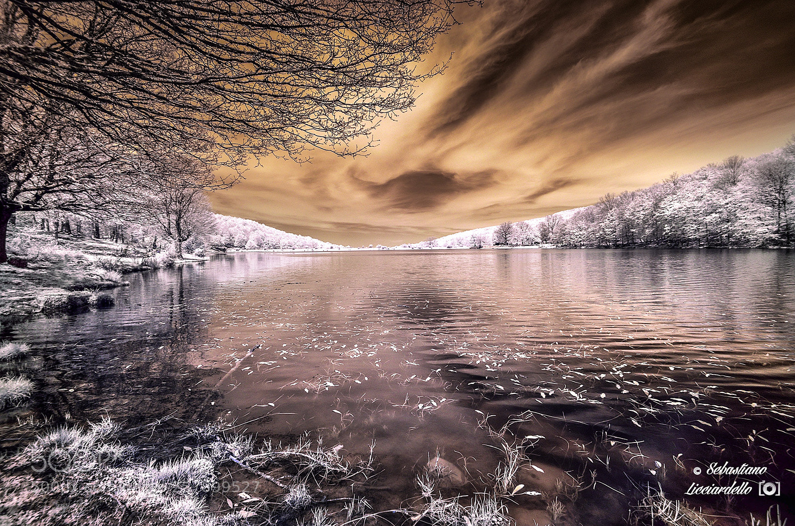 Nikon D5100 sample photo. Infrared photography