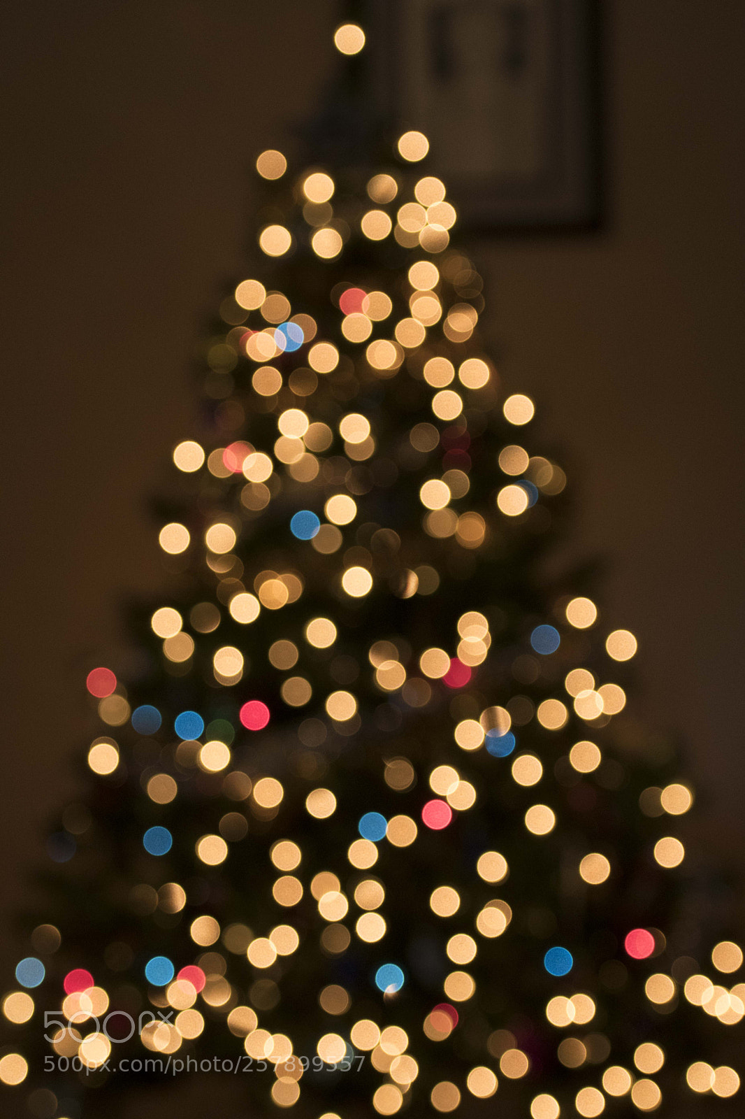 Nikon D500 sample photo. Blur photography