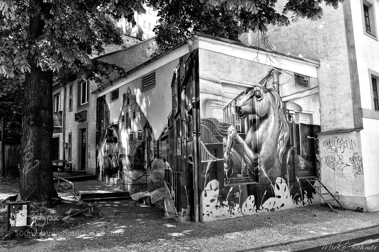 Nikon D5300 sample photo. Street art photography