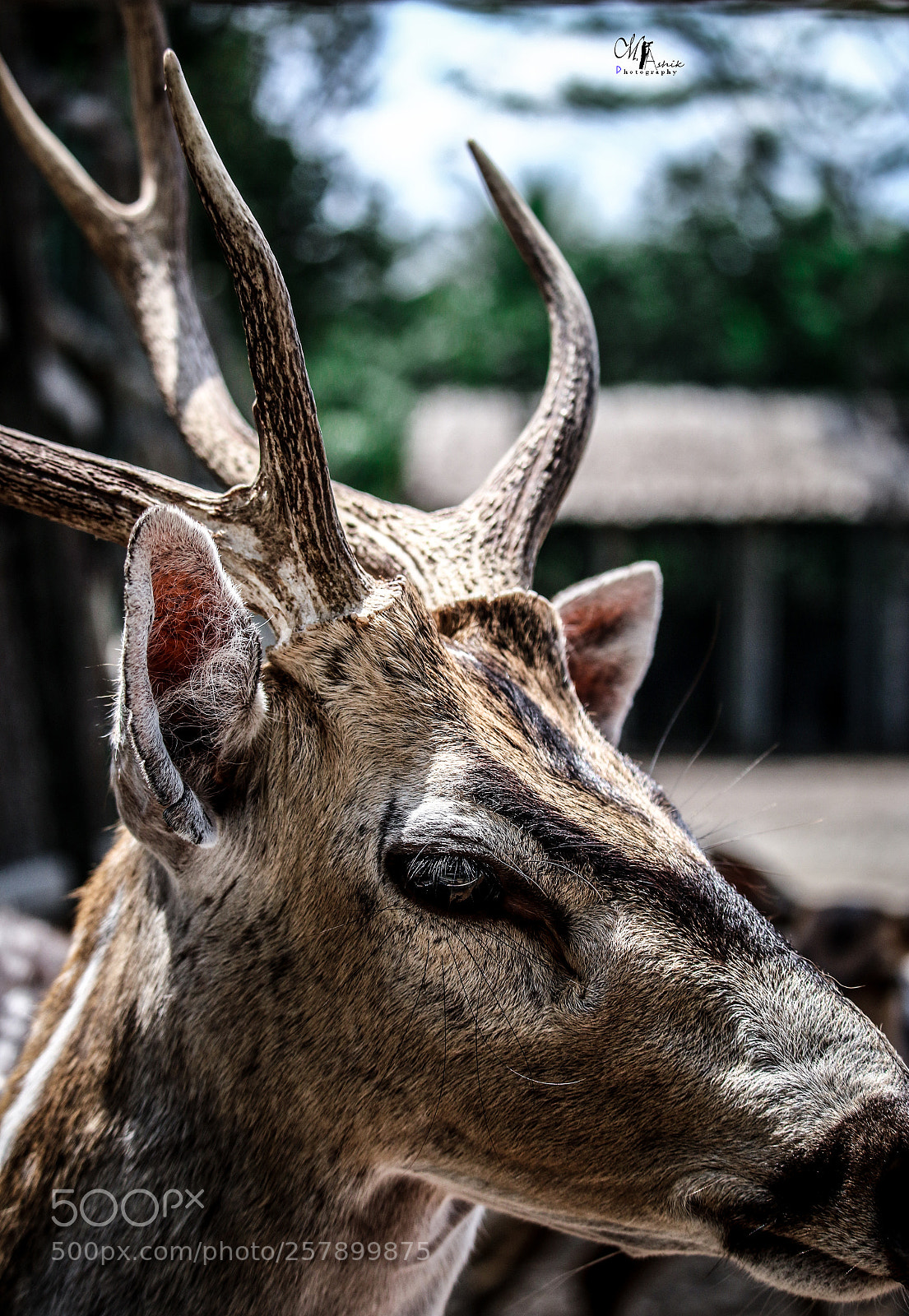 Canon EOS 70D sample photo. Untitled photography
