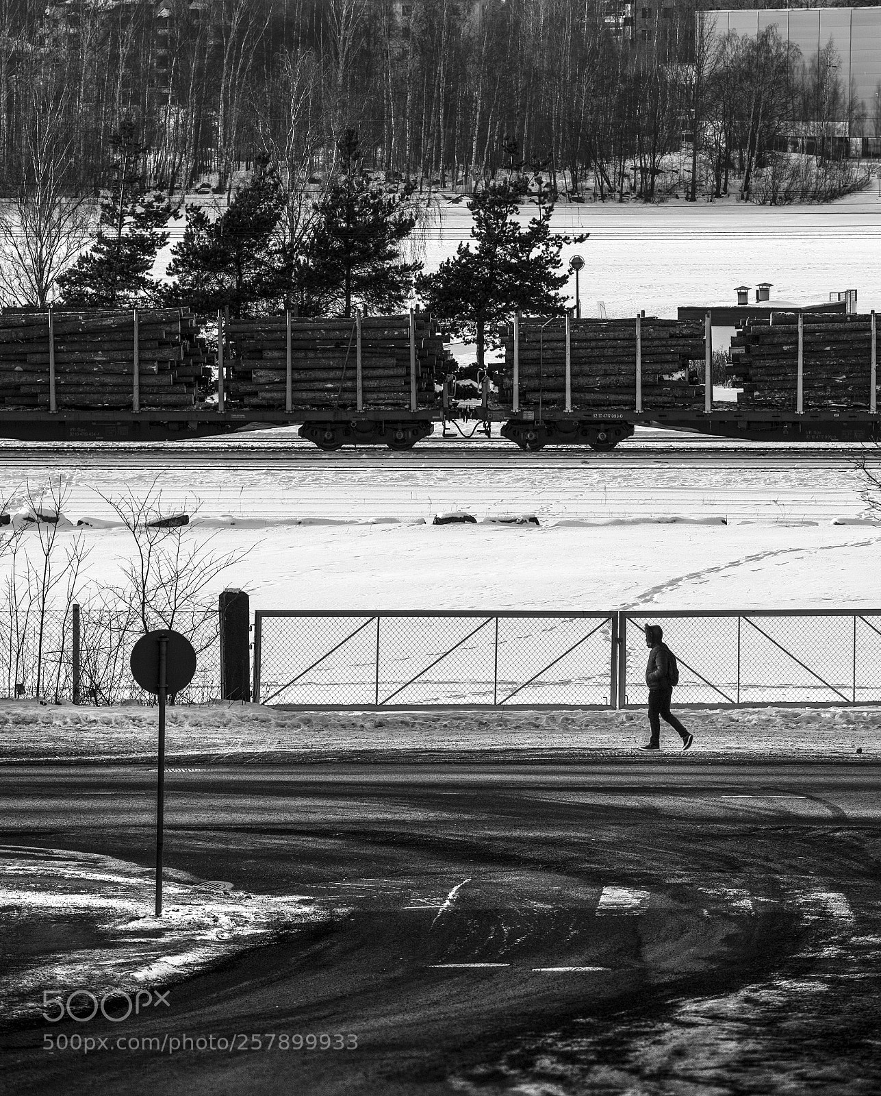 Nikon D5 sample photo. Walking photography