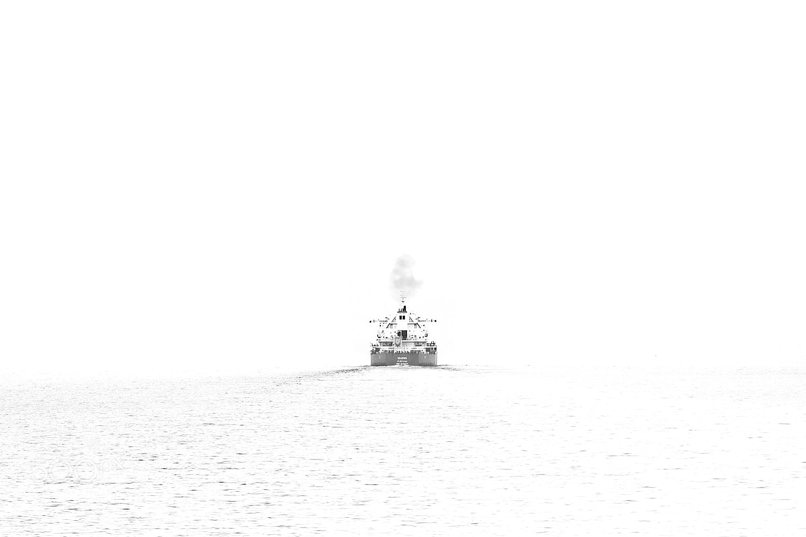Nikon D5 sample photo. Home sweet home photography