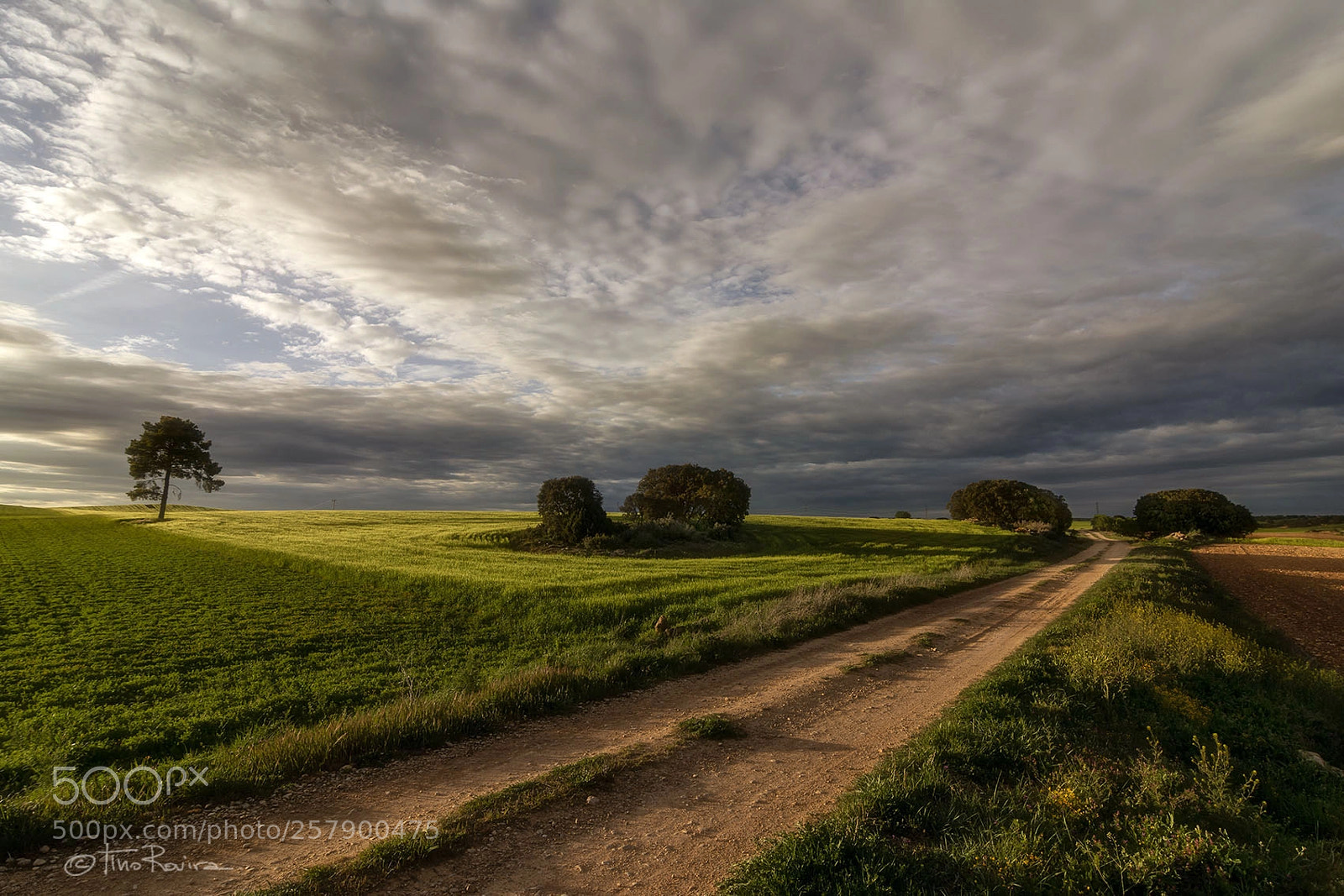 Nikon D7100 sample photo. Castilla la mancha photography