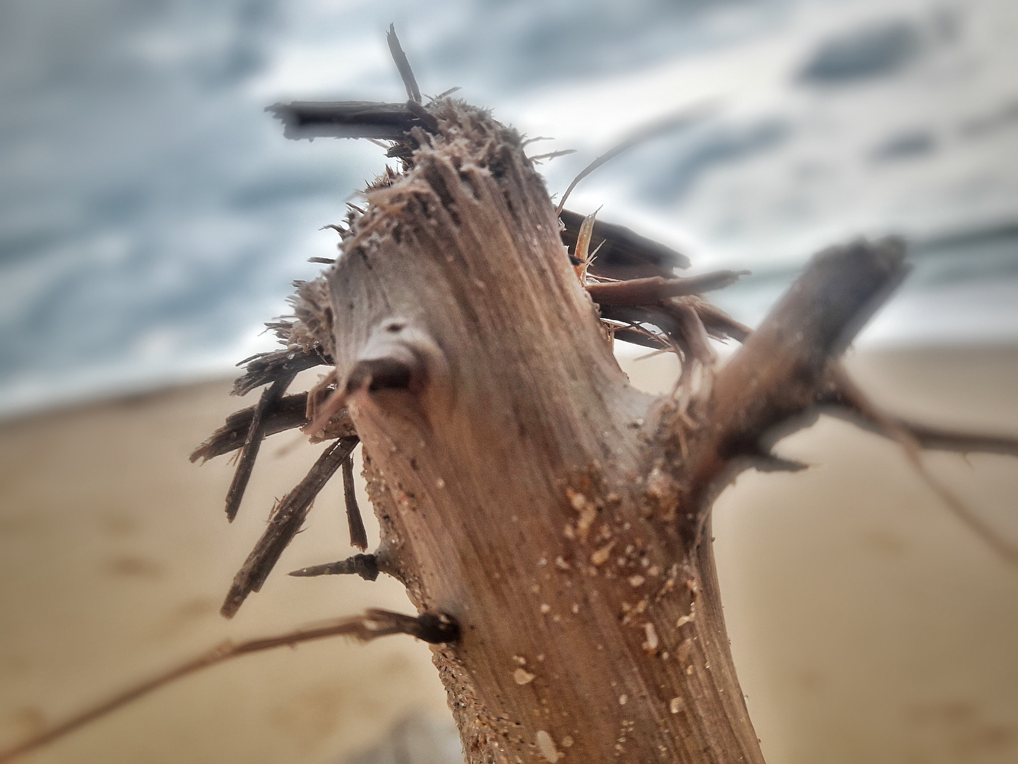 Samsung Galaxy J7 Neo sample photo