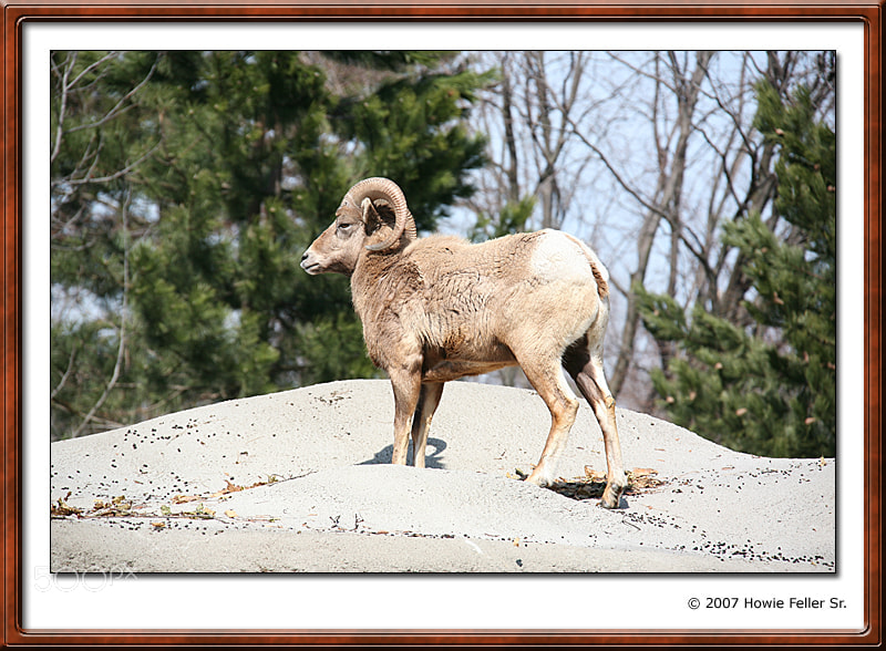Canon EOS 5D sample photo. I ngslwdq photography