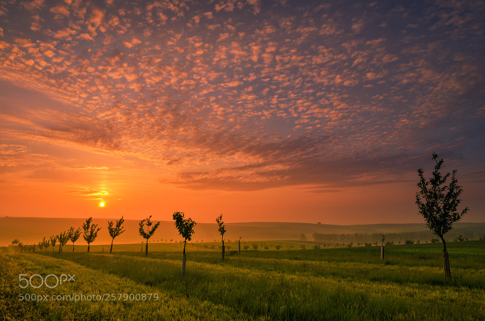 Nikon D7000 sample photo. South moravian region photography