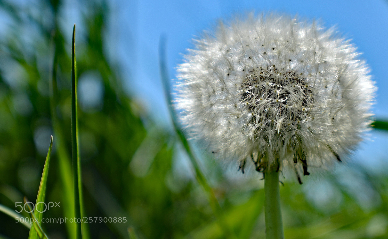 Nikon D5600 sample photo. Dsc photography