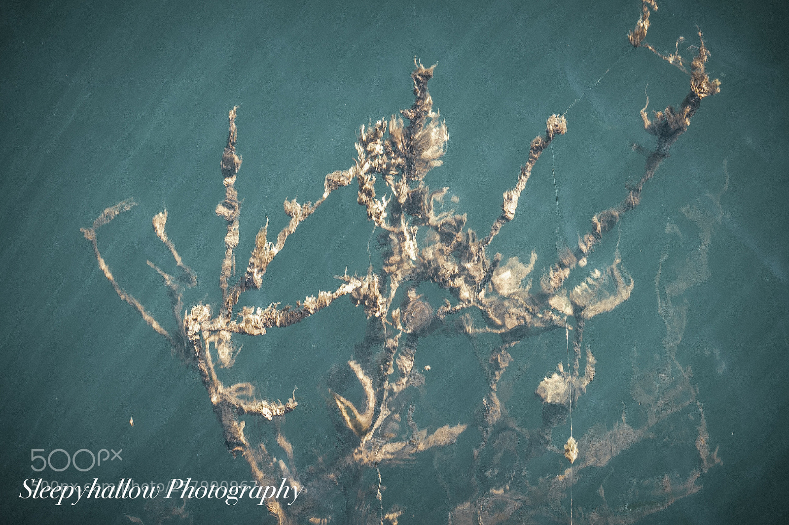 Canon EOS 1300D (EOS Rebel T6 / EOS Kiss X80) sample photo. Beneath the water photography