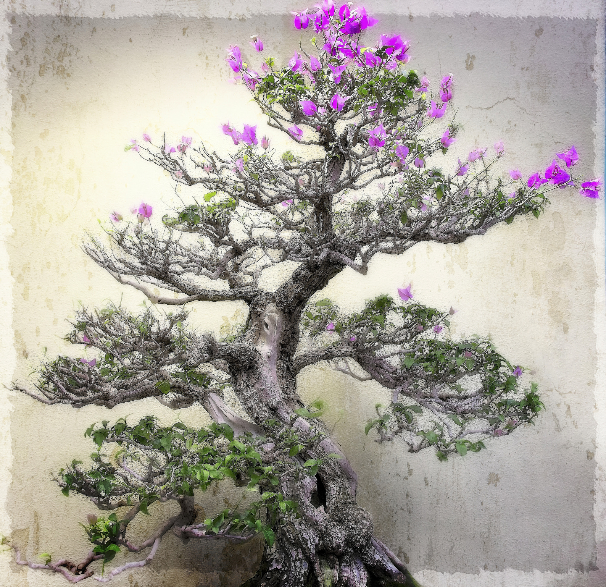 Canon EOS 760D (EOS Rebel T6s / EOS 8000D) sample photo. Bonsai tree photography