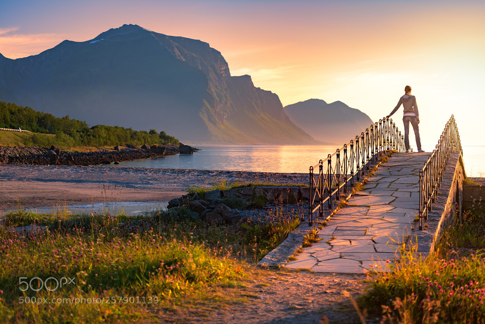 Nikon D800 sample photo. Landscape at sunset in photography