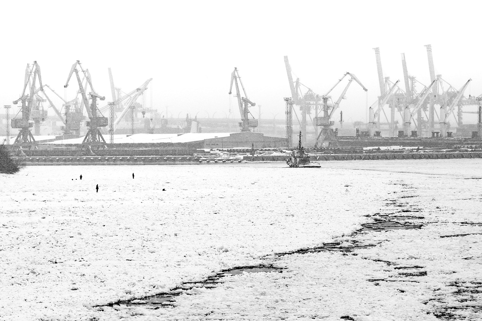 Nikon D5 sample photo. Fishing at harbor photography