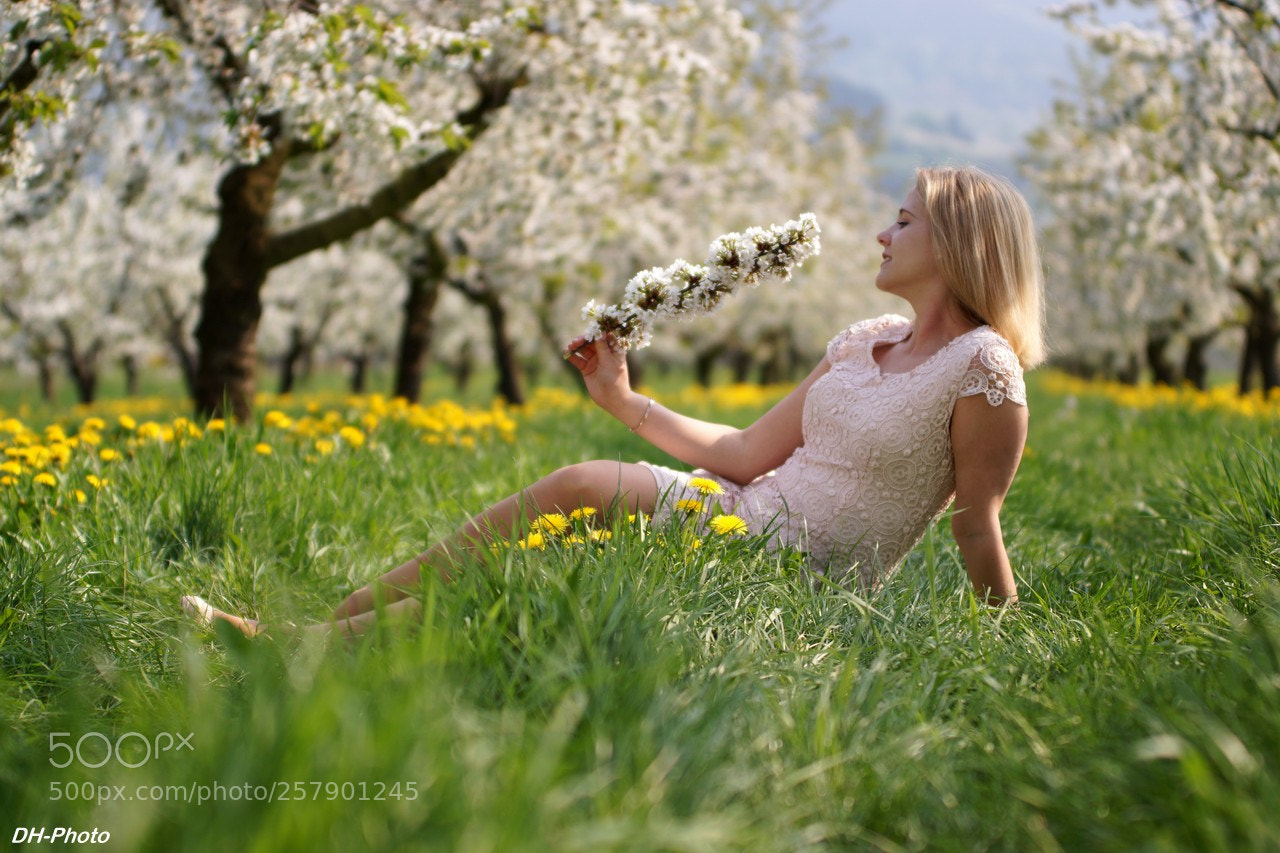 Sony ILCA-77M2 sample photo. Spring beauty with cherry photography