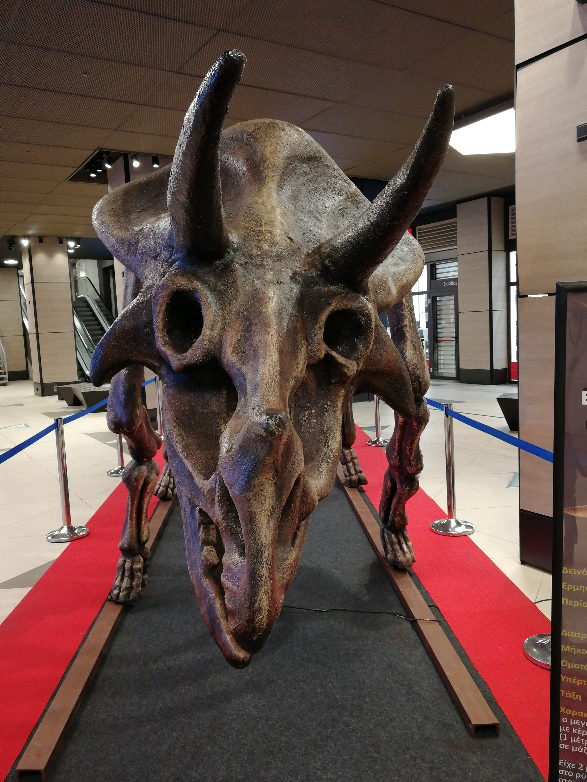 HUAWEI Honor 9 sample photo