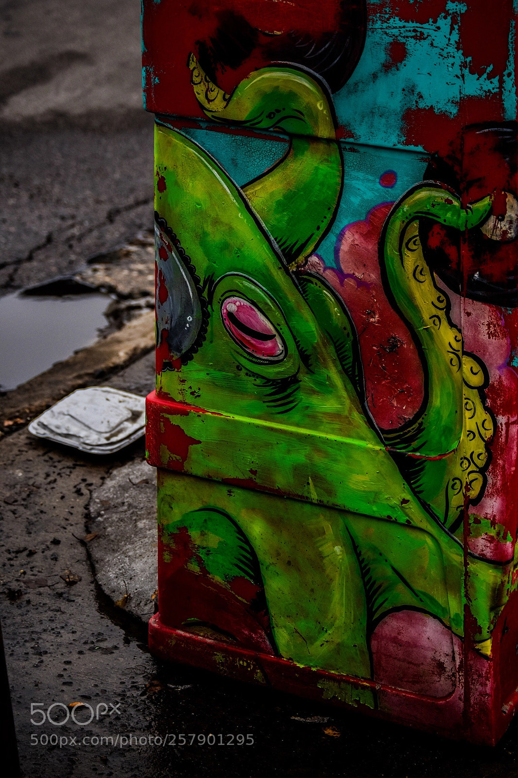 Nikon D5500 sample photo. Octi photography