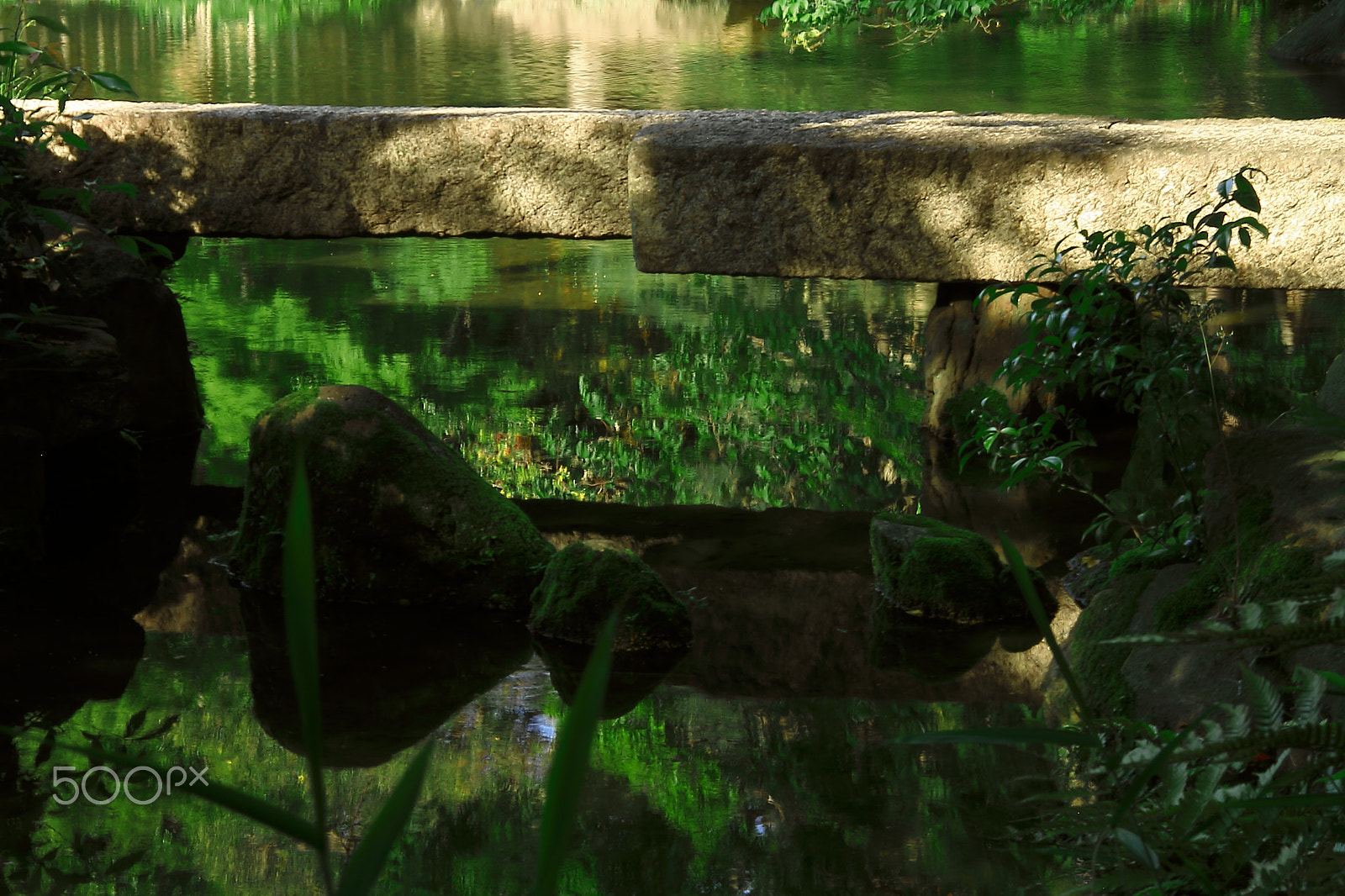 Canon EOS 7D + Canon EF 50mm F1.8 II sample photo. Japanese garden photography