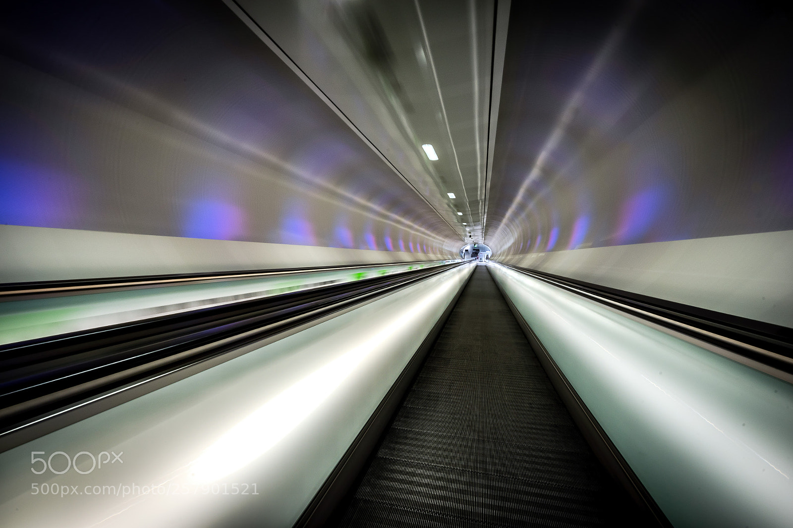Sony a7 II sample photo. Speed! photography