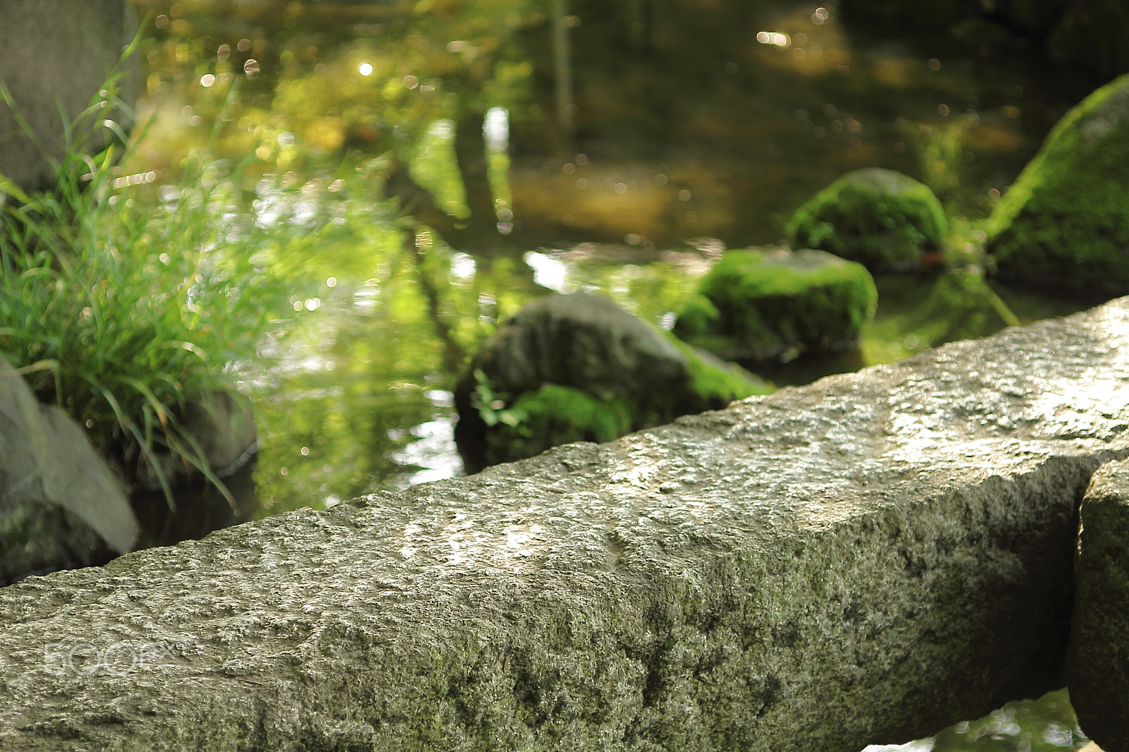 Canon EOS 7D + Canon EF 50mm F1.8 II sample photo. Japanese garden photography